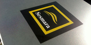 Logo Sesmara